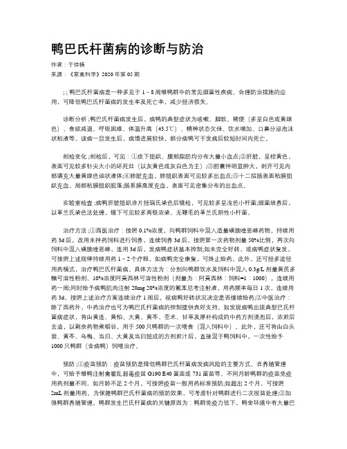 鸭巴氏杆菌病的诊断与防治