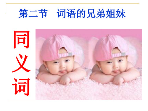 42词语的兄弟姐妹同义词PPT课件
