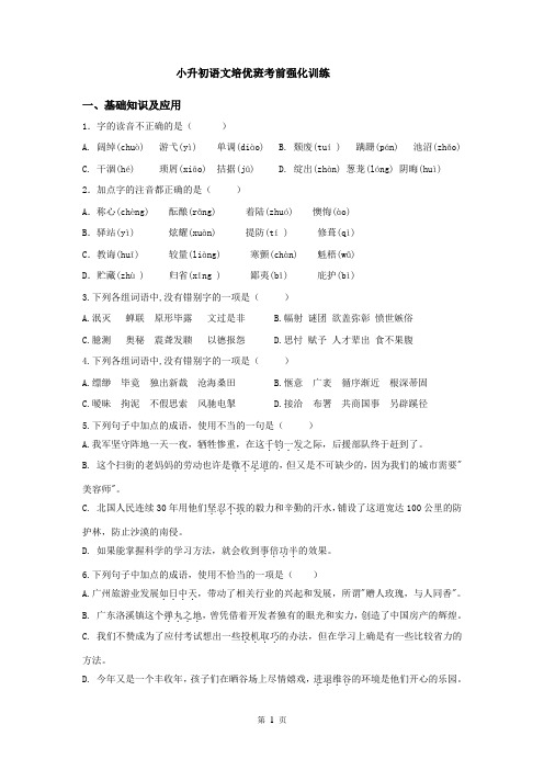 小升初语文培优班考前强化训练
