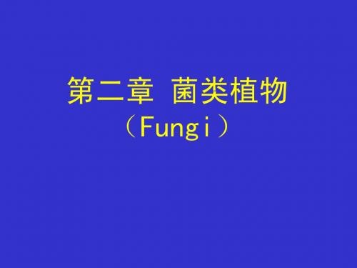 菌类、地衣、苔藓