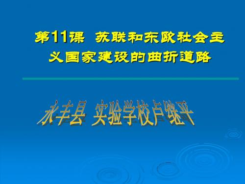 人教本,九年级历史下册,第四单元,第11课苏联和东欧社会主义国家建设的曲折道路PPT课件