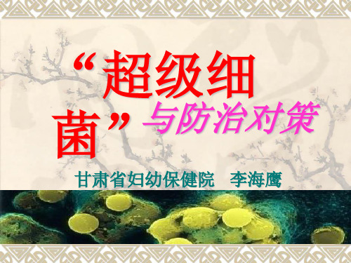 超级细菌