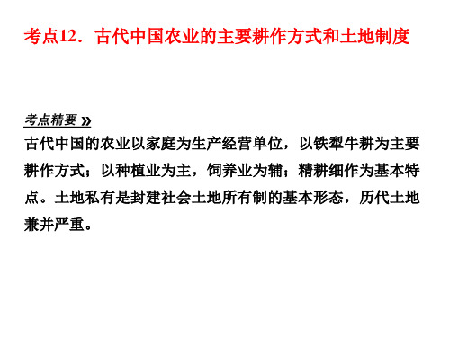 【人民版高考总复习】考点12 农业的主要耕作方式和土地制度