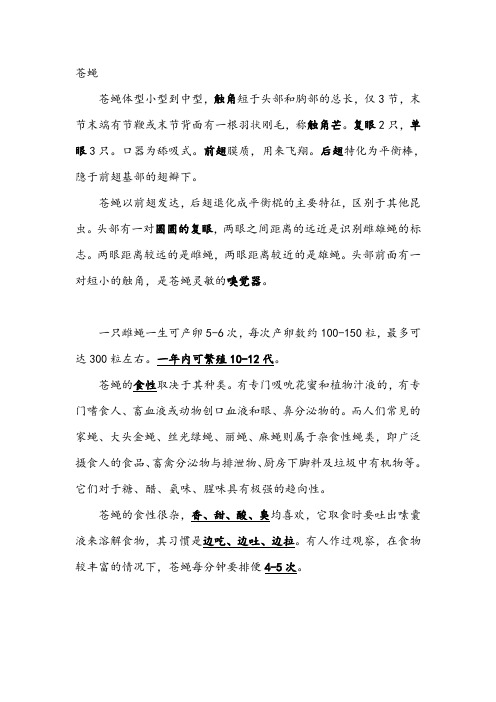 苍蝇