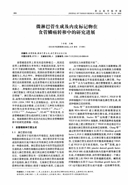 微淋巴管生成及内皮标记物在食管鳞癌转移中的研究进展