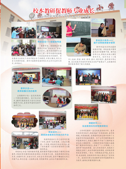 校本教研促教师专业成长——西宁市杨家庄小学校本教研活动掠影