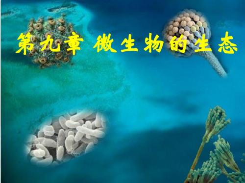 9.1第九章微生物的生态第一节自然环境中的微生物57ppt解析