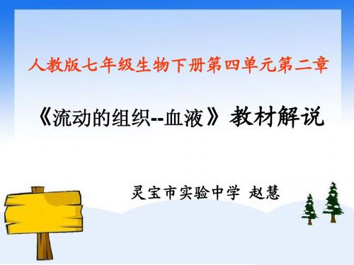 赵慧