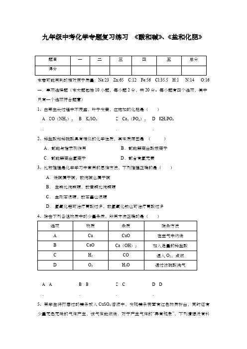 九年级中考化学专题复习练习 《酸和碱》、《盐和化肥》    