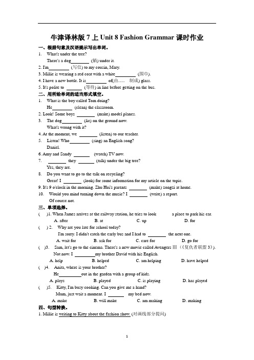 初中英语 牛津译林版7上Unit 8 Fashion Grammar  课时作业(含答案)
