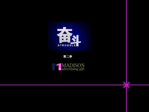 奋斗第二季植入式广告招商方案