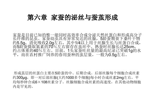 家蚕生物学课件 第六章  家蚕的泌丝与蚕茧形成