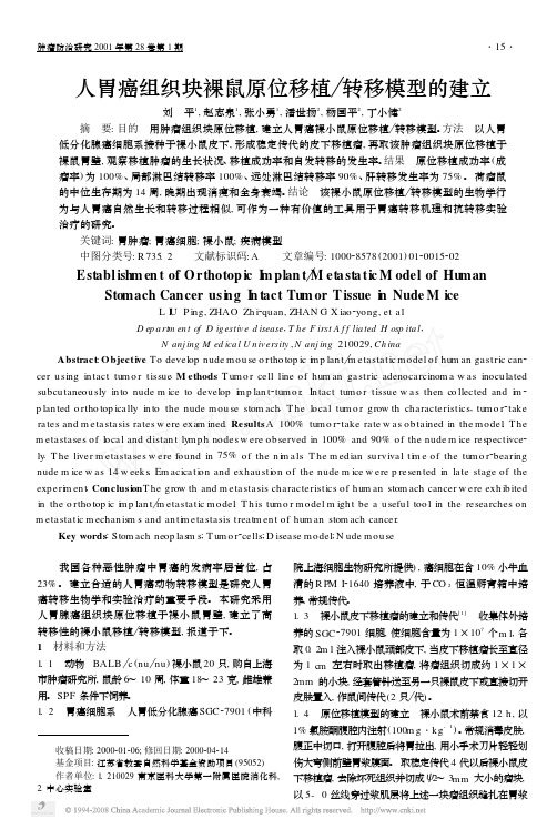 人胃癌组织块裸鼠原位移植