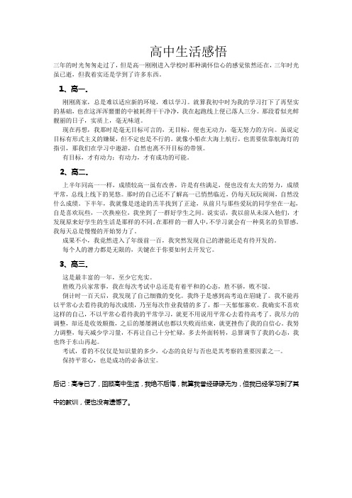 高中生活总结