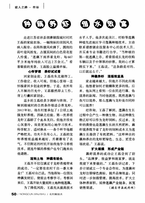 种藕养虾 借水致富