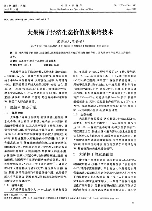 大果榛子经济生态价值及栽培技术