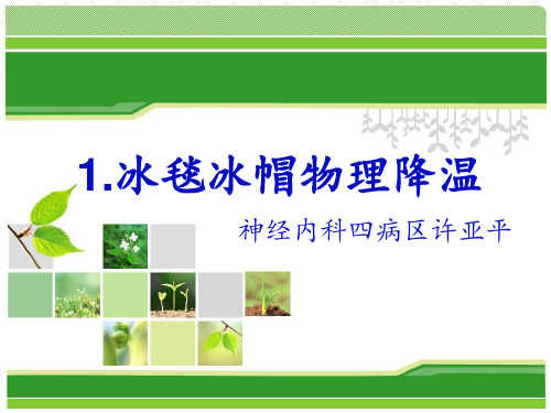 冰毯物理降温ppt课件