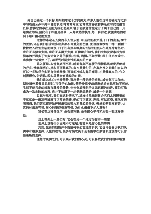 理想与现实之间