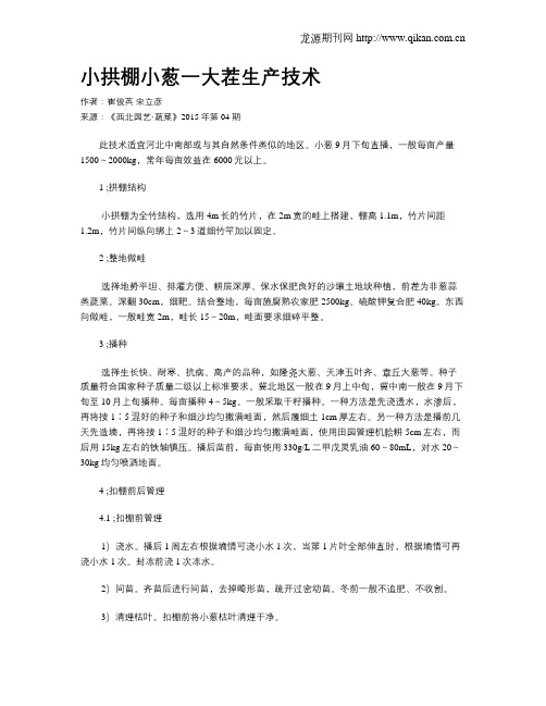 小拱棚小葱一大茬生产技术