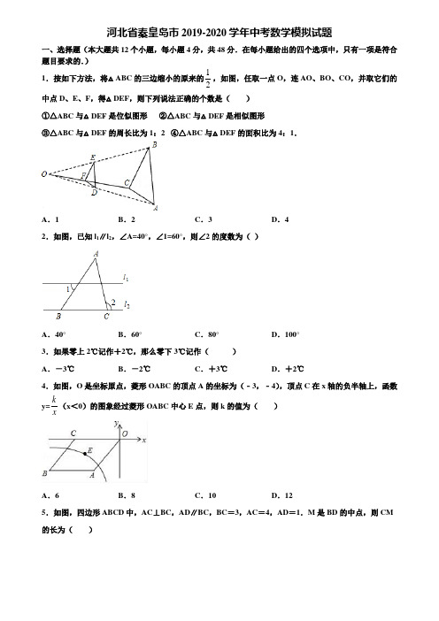 河北省秦皇岛市2019-2020学年中考数学模拟试题含解析