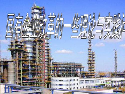 国企改革的理论与实践ppt课件