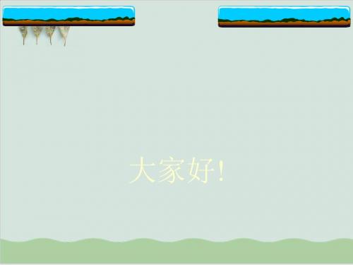 产前诊断和产前筛查伦理讲义PPT课件( 43页)