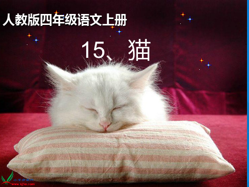 《猫》说课稿PPT课件