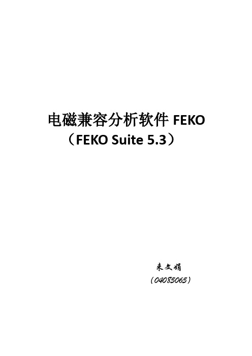 电磁场分析软件FEKO