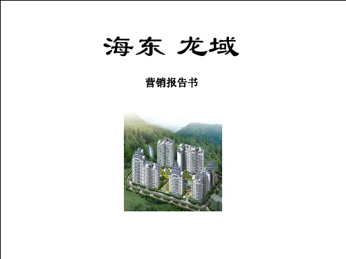 众厦-惠州市海东龙域地产项目营销策划提案报告-88PPT
