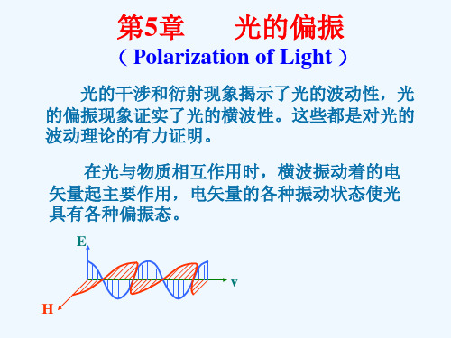 第五章光的偏振自然光与偏振光
