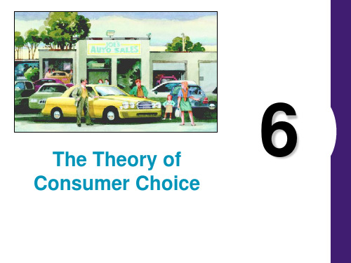 lecture 06 consumer theory