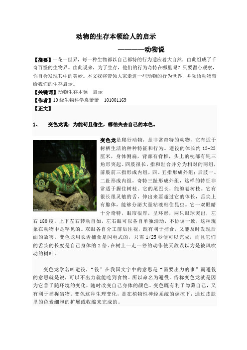 动物的生存本领给人的启示