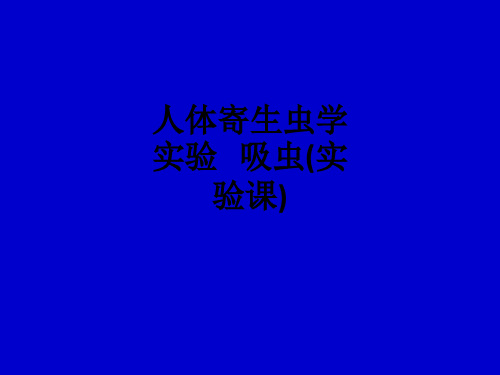 人体寄生虫学实验   吸虫(实验课)ppt课件