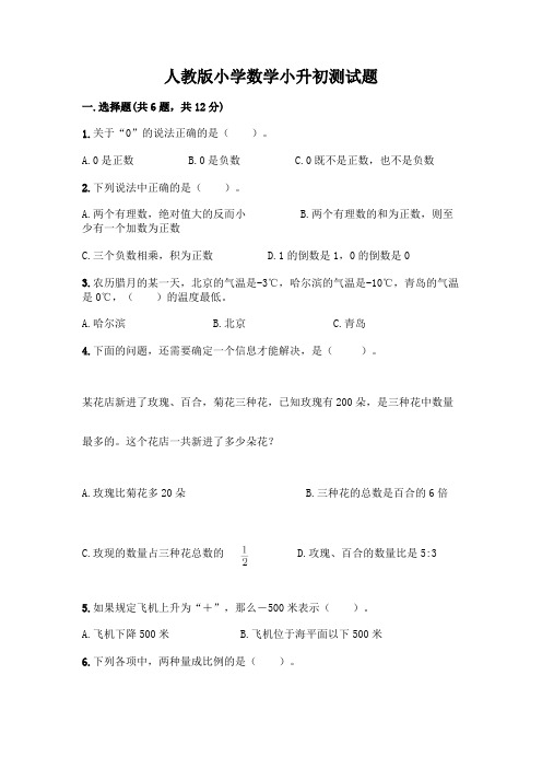 人教版小学数学小升初测试题及参考答案【轻巧夺冠】含答案【培优A卷】