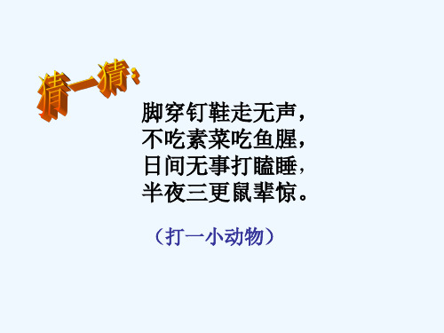 我们家的猫课件