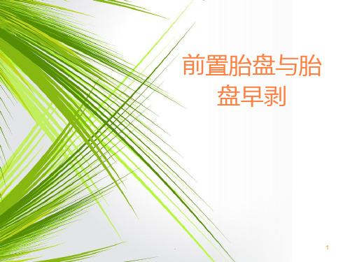前置胎盘与胎盘早剥 ppt课件