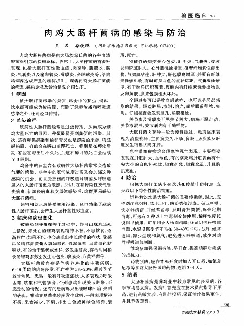 肉鸡大肠杆菌病的感染与防治
