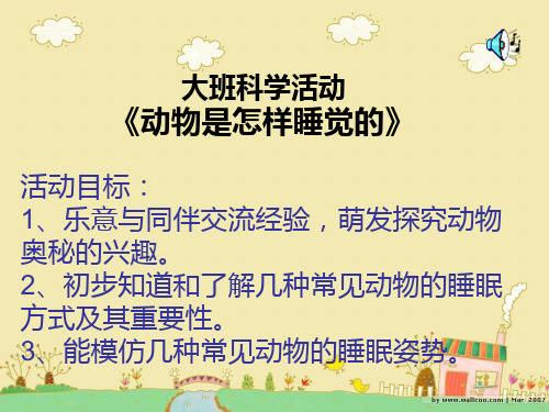 幼儿园ppt课件动物怎样睡觉