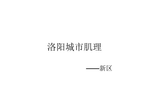 洛阳城市肌理