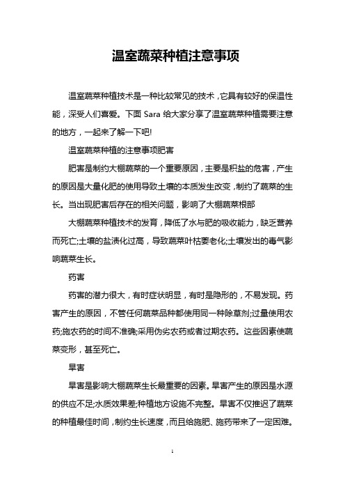 温室蔬菜种植注意事项