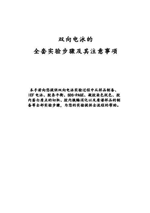 双向电泳的全套实验步骤及其注意事项