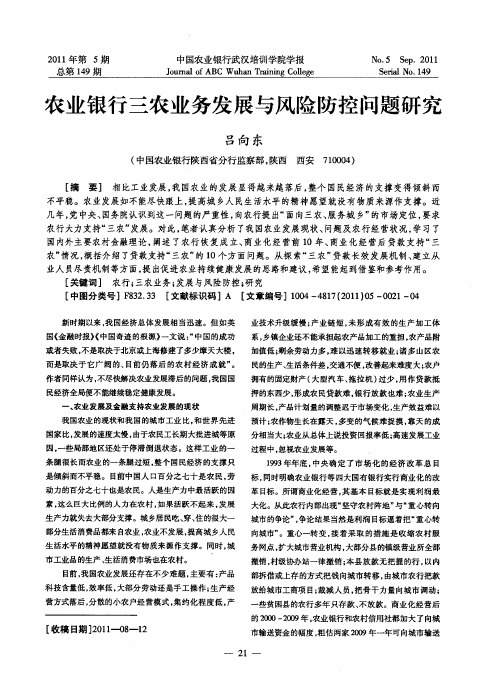 农业银行三农业务发展与风险防控问题研究