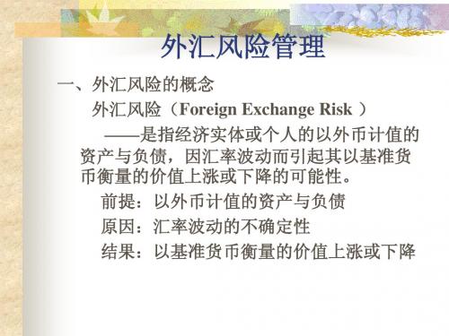 第七讲外汇风险管理