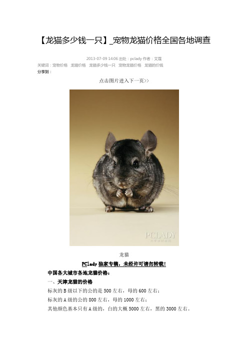 龙猫多少钱一只