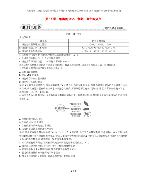 (通用版)高考生物一轮复习第四单元细胞的生命历程第13讲细胞的分化衰老凋亡和癌变