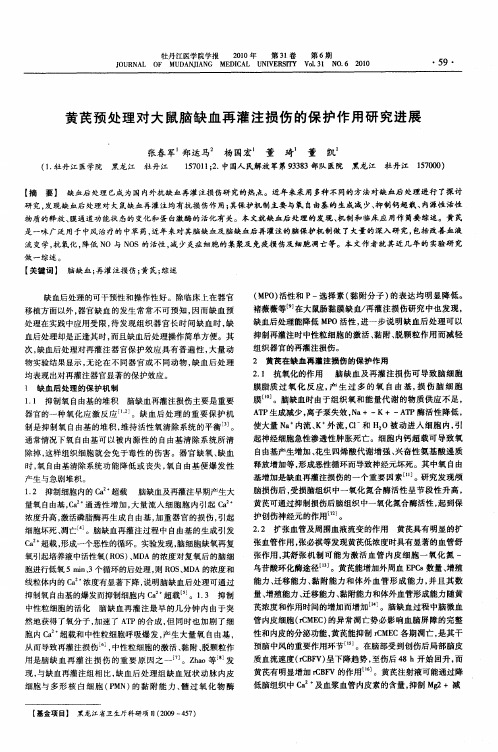 黄芪预处理对大鼠脑缺血再灌注损伤的保护作用研究进展