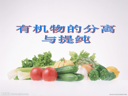 人教版高中化学选修五课件有机物的分离与提纯