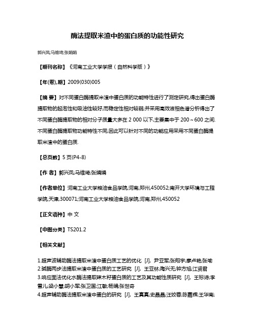 酶法提取米渣中的蛋白质的功能性研究