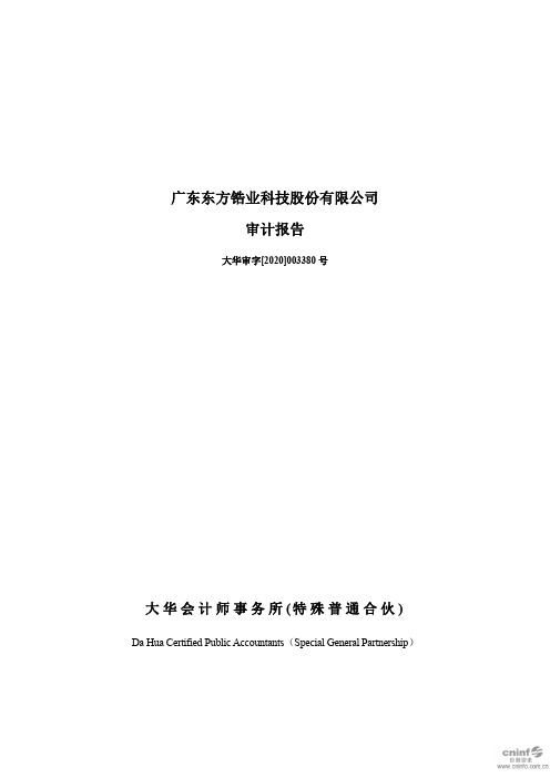 东方锆业：2019年年度审计报告