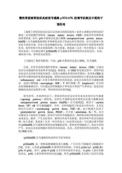 慢性肾脏病肾组织炎症信号通路p38MAPK的调节机制及中药的干预作用